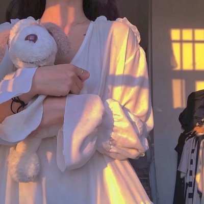 三个火枪手:达达尼昂